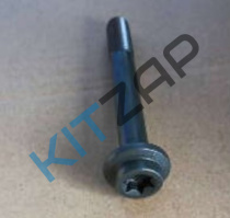 ���� �������� �����������_����_0